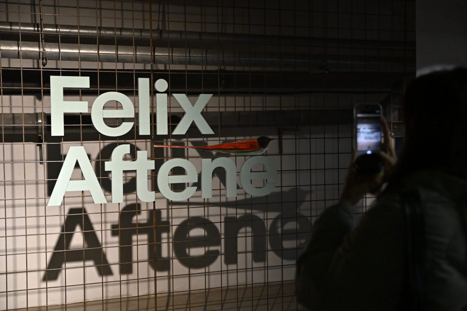 Felix Aftene. Jurnal (1)