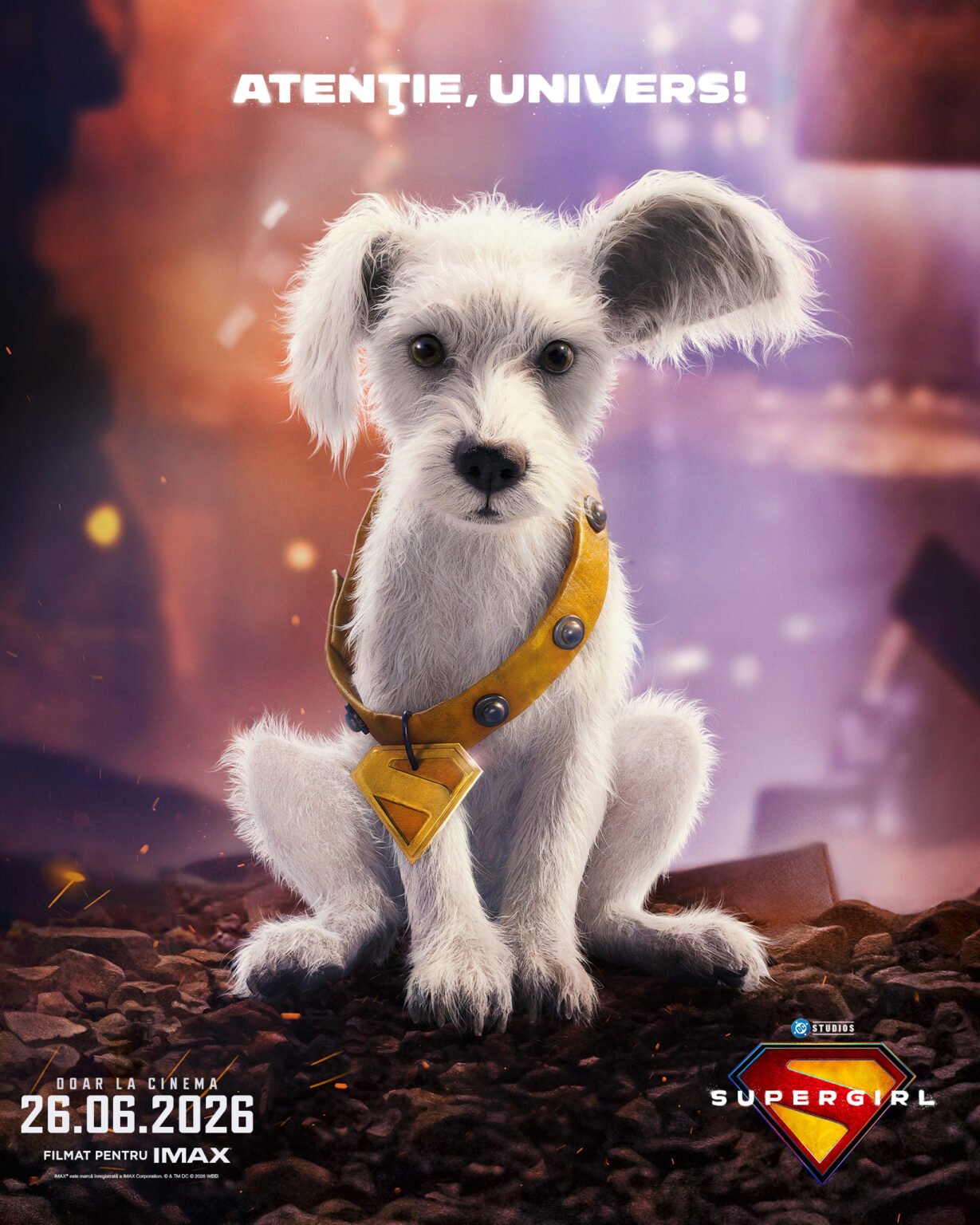 RO_SPRGRL_INSTA_VERT_Krypto_PuppyBowl_1638x2048_INTL