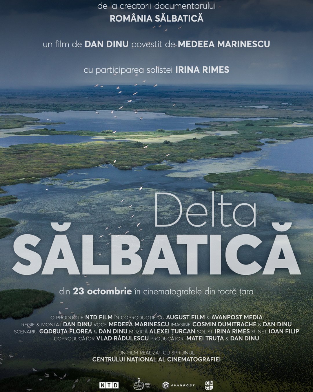 delta-salbatica