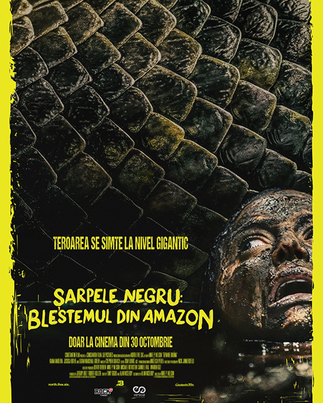 sarpele-negru